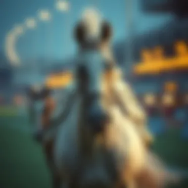 Magnificent 바카라하는곳: 심층 탐구