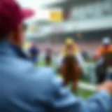 Analysis of Cheltenham Odds