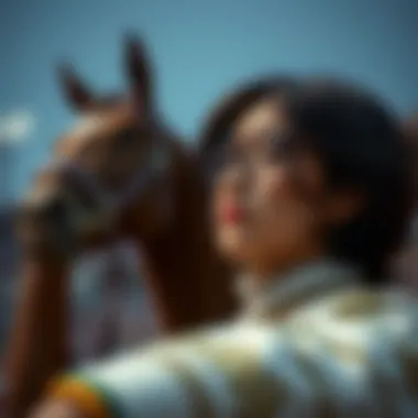 해외농구의 세계 Summary 해외농구의 세계 Summary